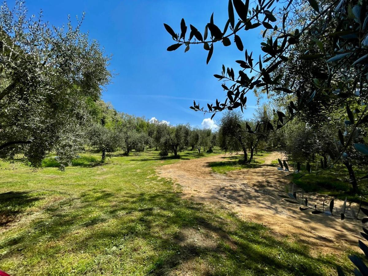 Podere Il Casone เซอราวาเลพิสโตเยเซ ภายนอก รูปภาพ
