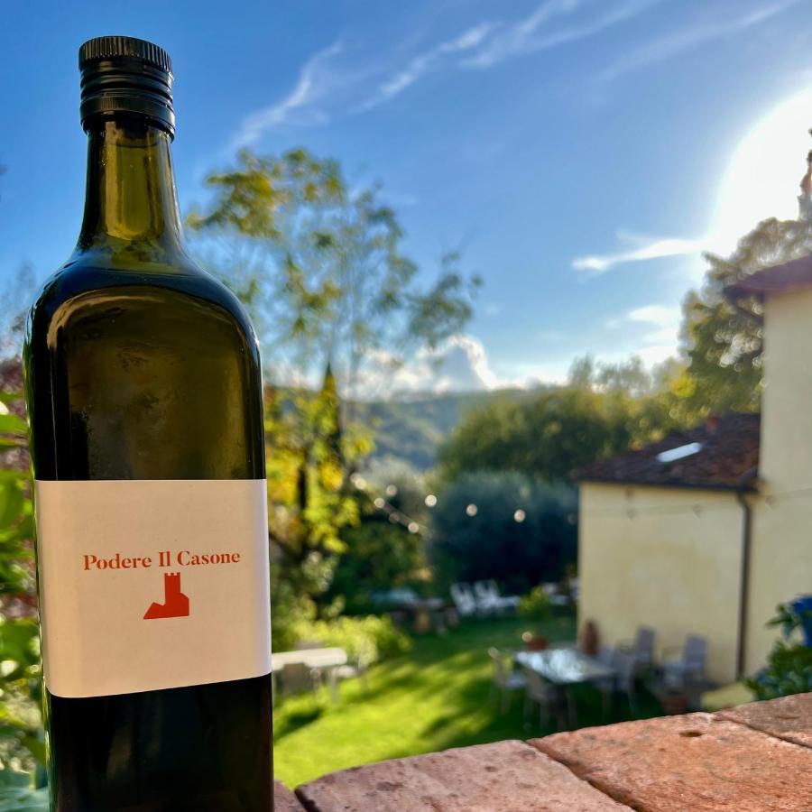 Podere Il Casone เซอราวาเลพิสโตเยเซ ภายนอก รูปภาพ
